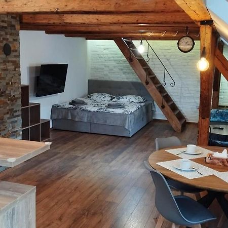 Apartman Albreit 2 Jáchymov Buitenkant foto