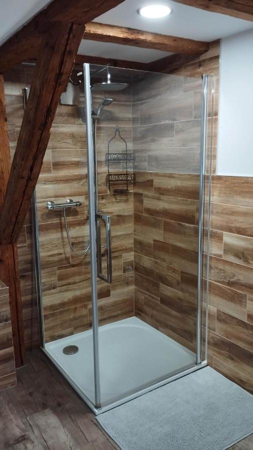 Apartman Albreit 2 Jáchymov Buitenkant foto
